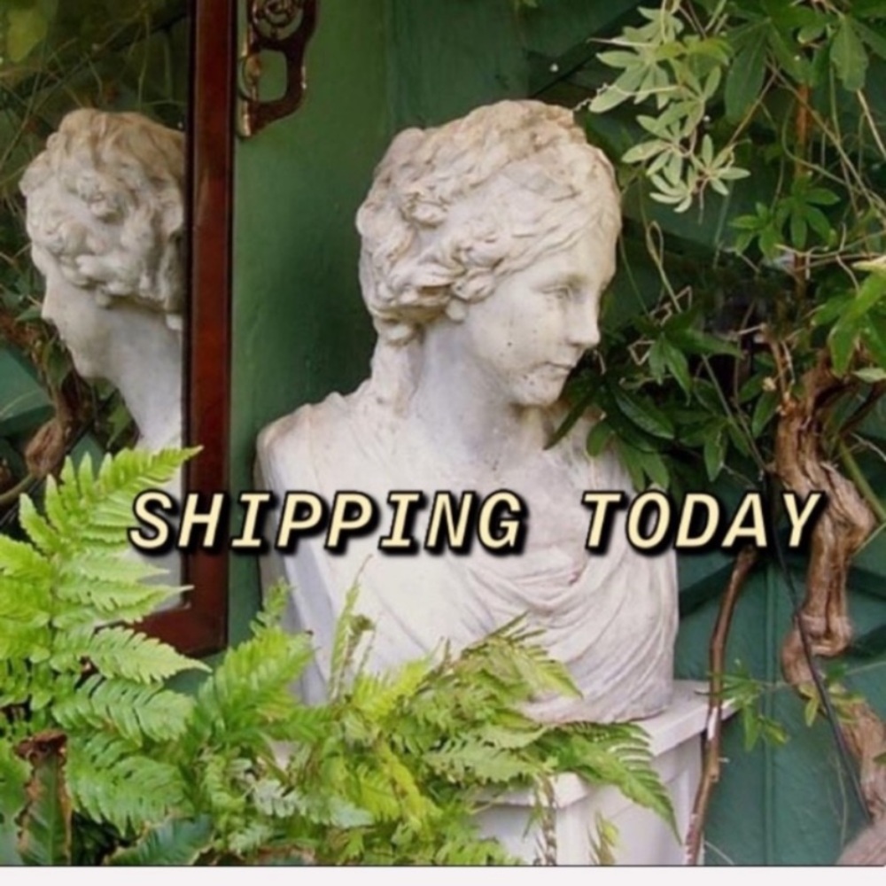 🌱 🌱 🌻 🌱 🌱